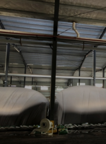 必赢亚洲·bwin(中国区)官方网站